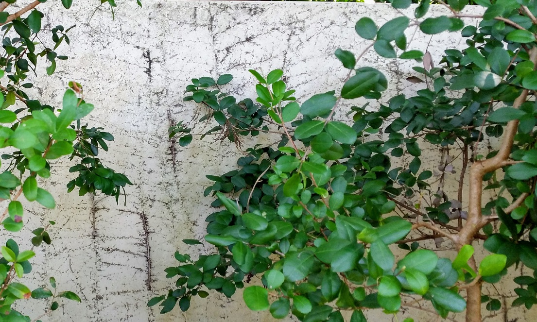 Zip – Six Sentence&nbsp;Story