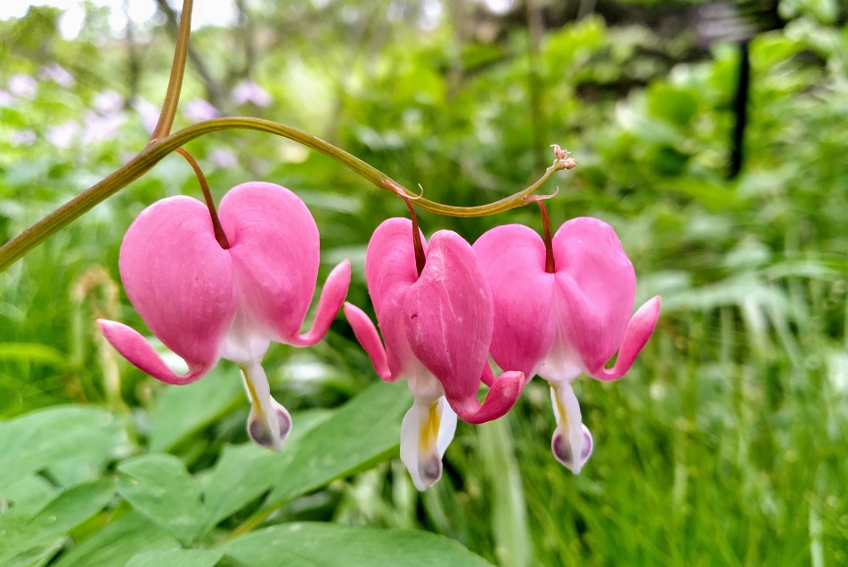 Rivalry – Six Sentence&nbsp;Story