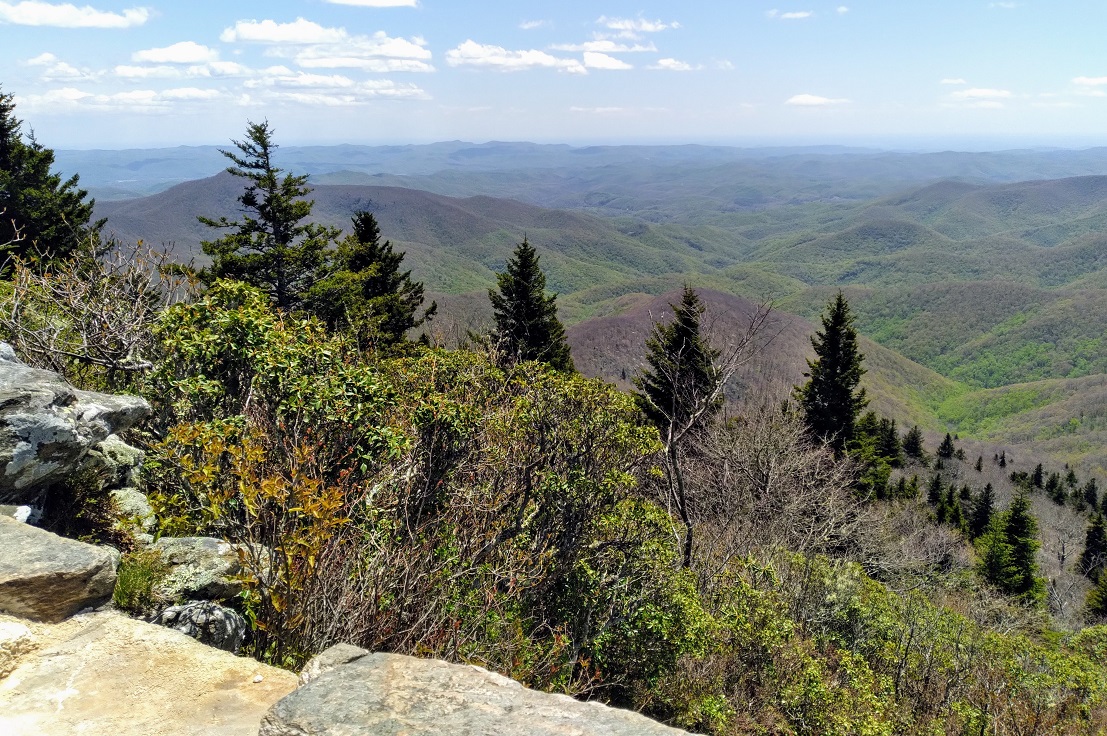Blue Ridge Mountains in Pisgah National Forest