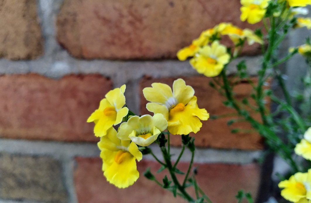 Presence – Six Sentence&nbsp;Story