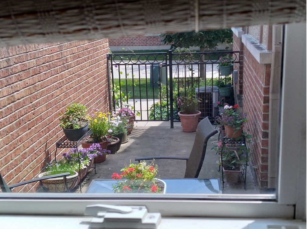 A Room With a&nbsp;View