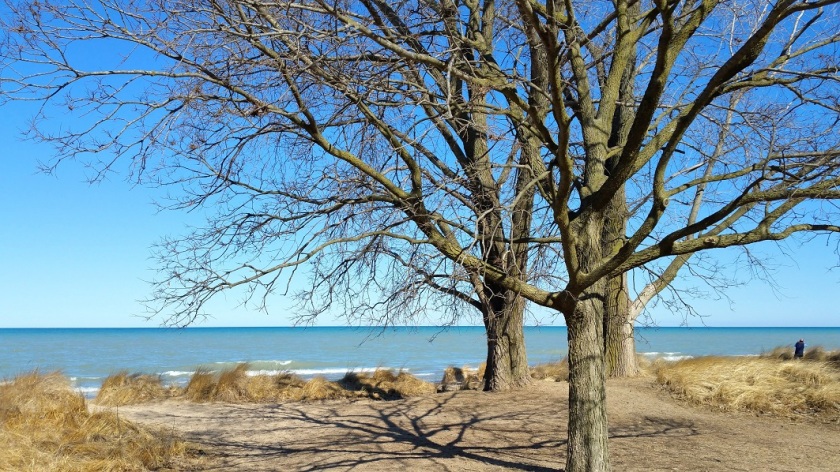 Lake Michigan at Gillson Park