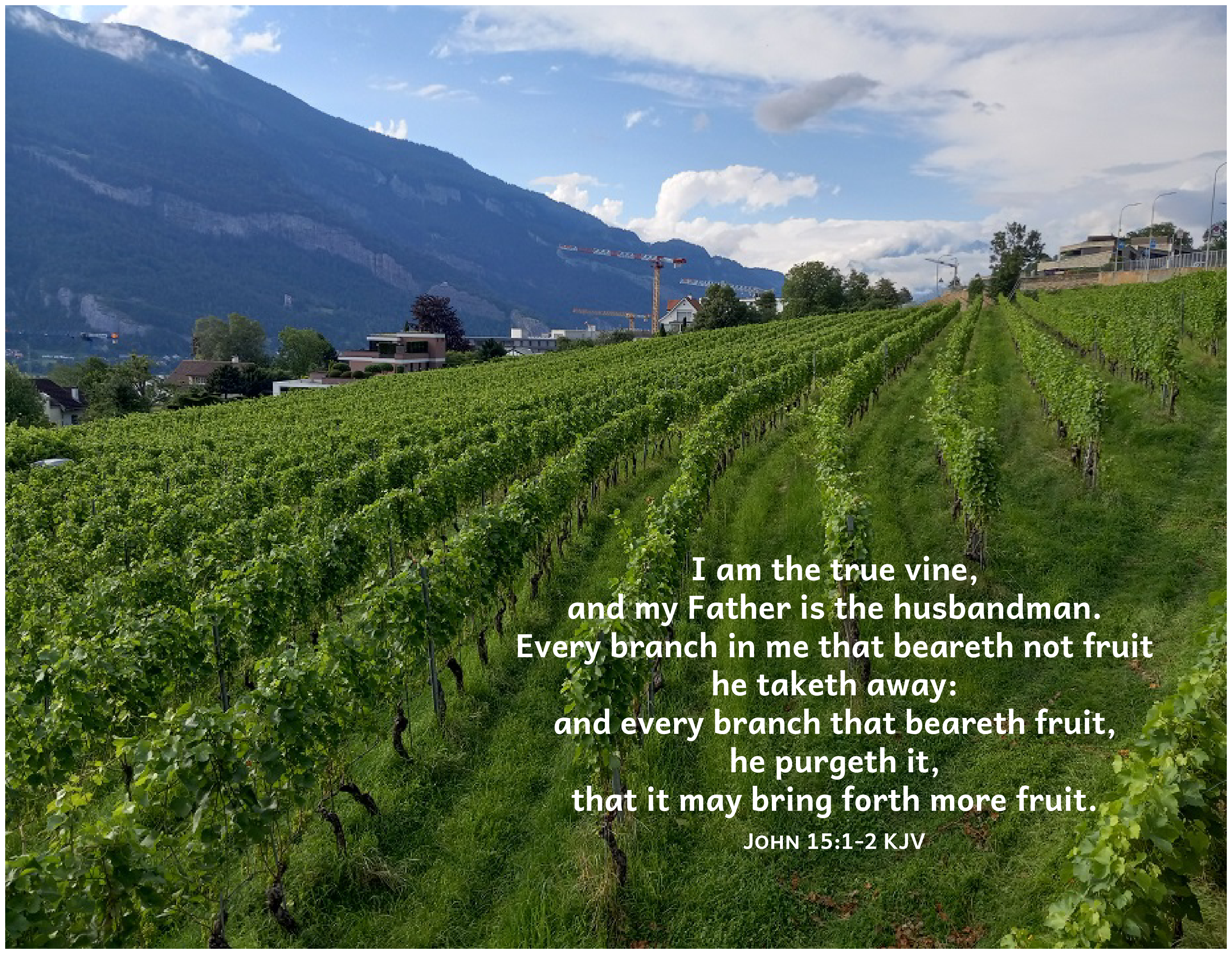 John 15:1-2 – Poetry, Short Prose and Walking
